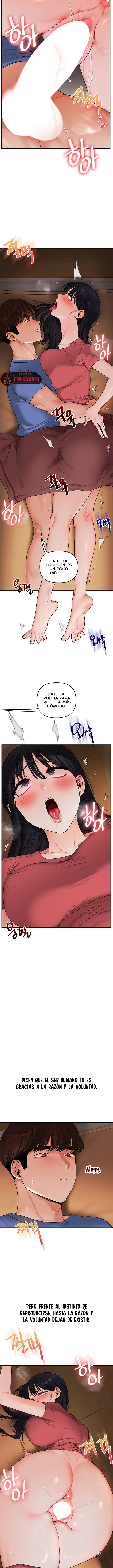 Relationship Reverse Button: Let’s Cure That Arrogant Girl Raw - Chapter 117 Page 10